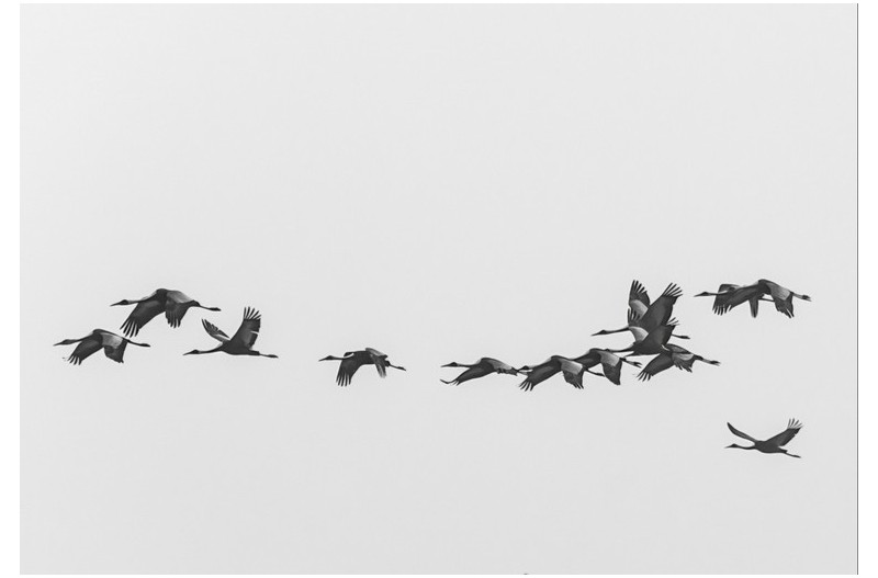 잘쉬었다갑니다.