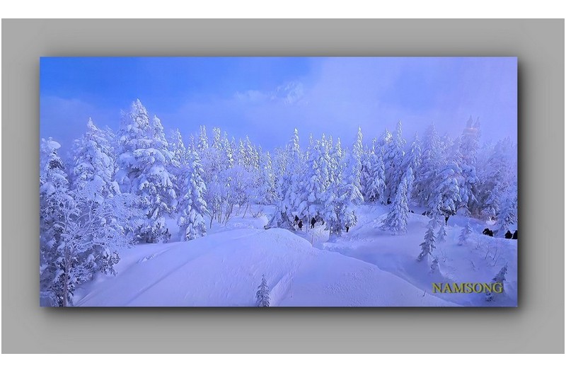 어느해 겨울 폭설이내린 산야 ------