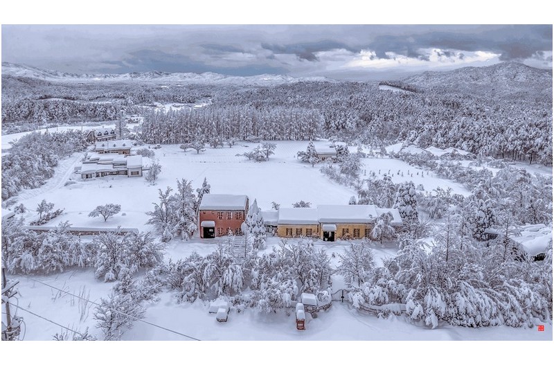 하늬 라벤다 출력