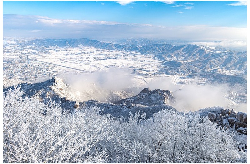 영암의 겨울 들녘