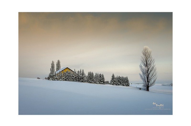 저 하이얀 들판에