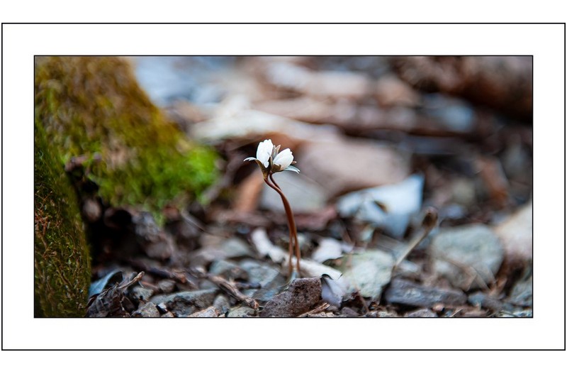섹시한 변산아씨..