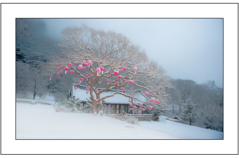 만연사의  겨울..