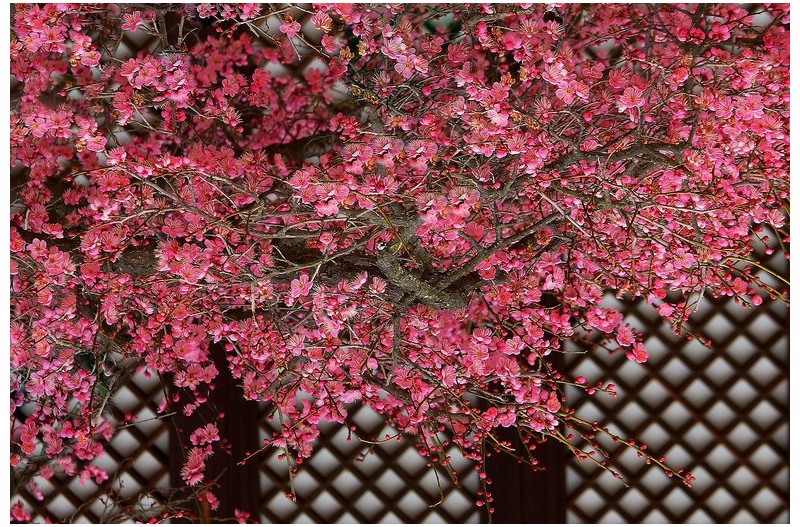 10년전에 가본 통도사