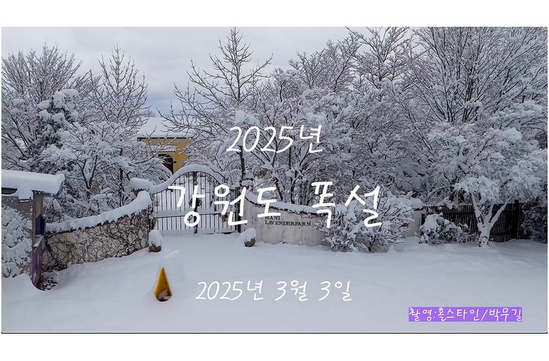 고성폭설#하늬팜랜드폭설#