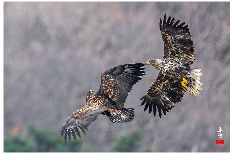 우곡 독수리 환송식날