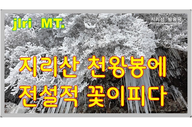 지리산 천왕봉에 핀 전설적 꽃