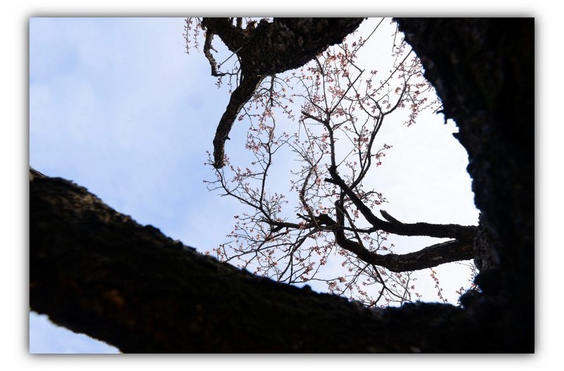 김해 건설공고 매화