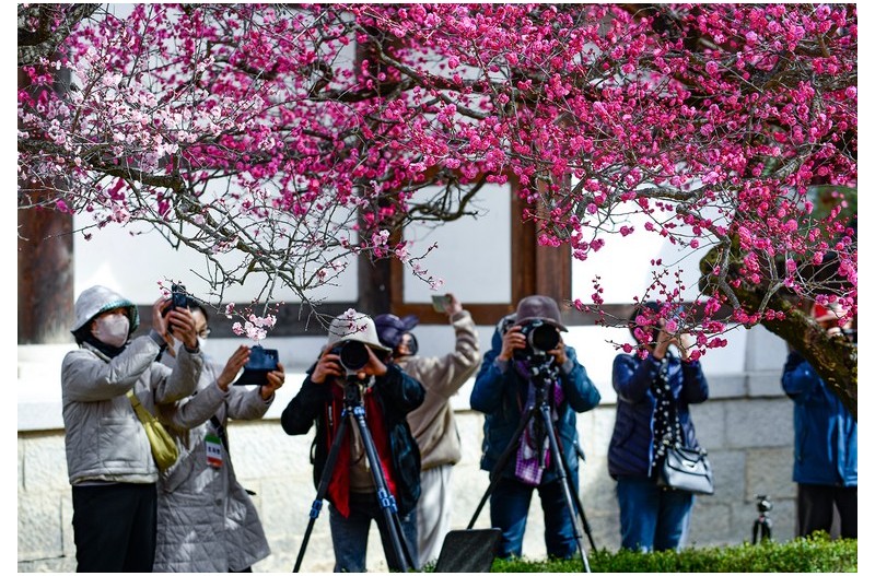 봄꽃향기를 담아...