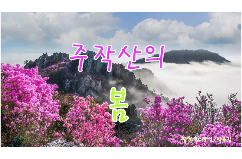주작산철쭉