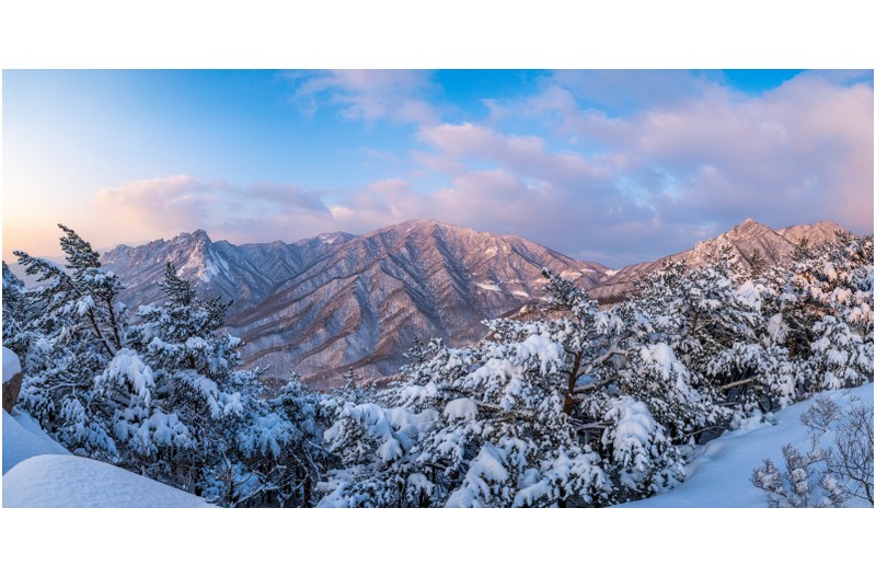 강원도 눈길에...