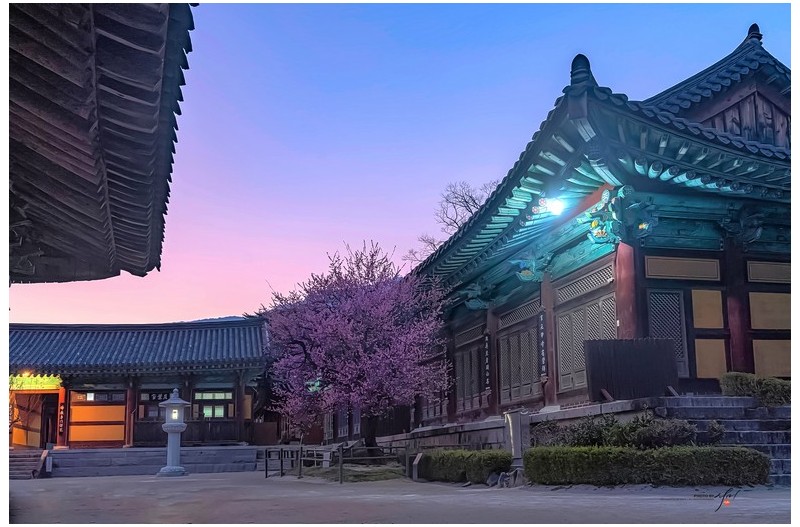 통도사의 초 저녁