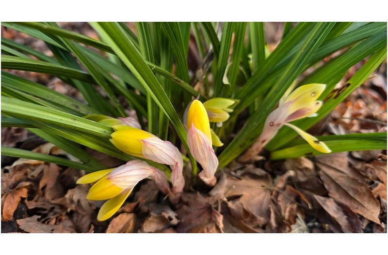 사진가는 누구나 담을 수 있는 것을 담지 않는다 “황화”