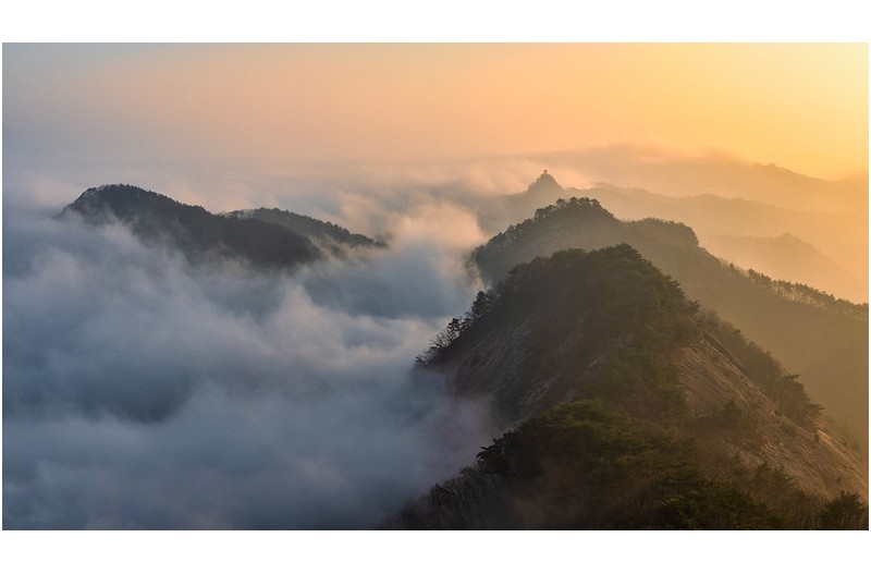 미세먼지가 하늘을 덮은날