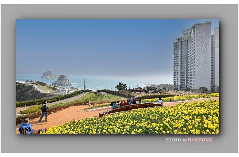 어느 봄날에 ------