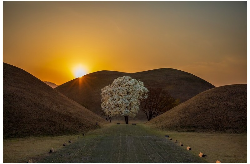 대릉원 저녁 노을