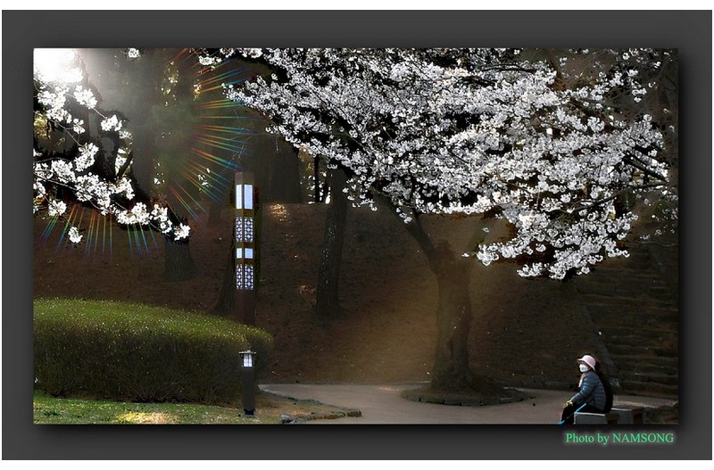 구지봉으로 가던길에 ----