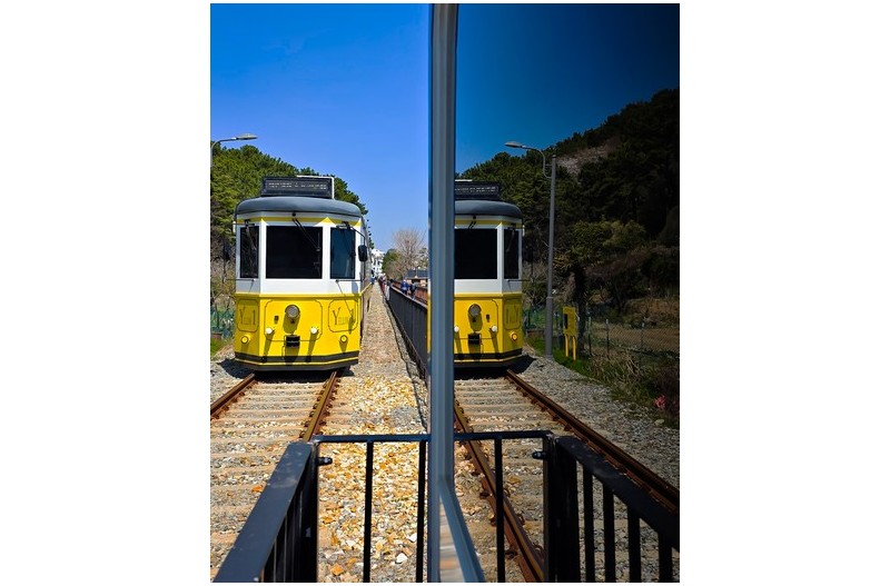 허(虛)와 실(實)