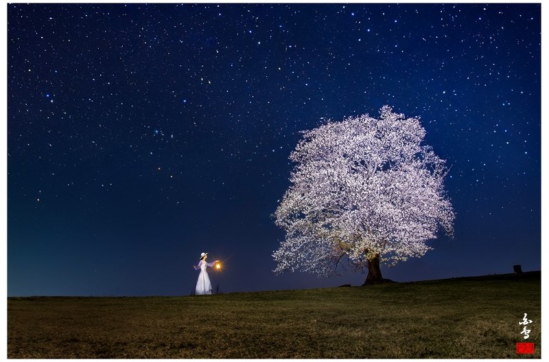 고분에 밤이 찾아오면