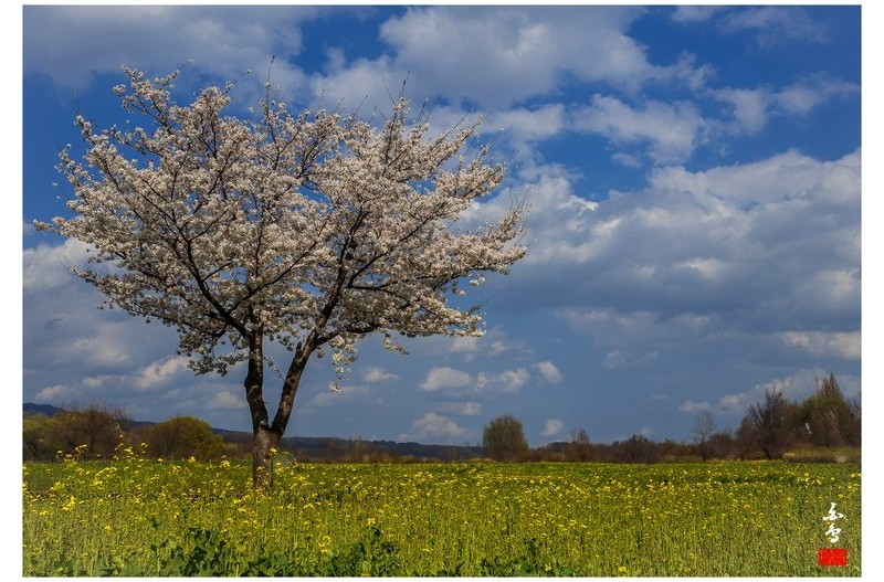 폰카로 담아본 풍경