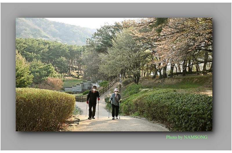 어느 노부부의 아침 산책 ---