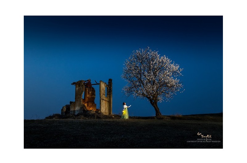 아름다운 밤 에