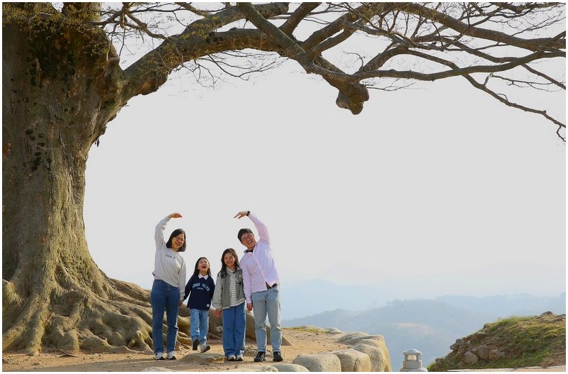 사랑나무 아래서