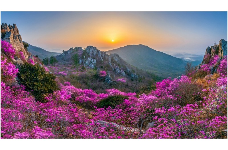 주작산 파노라마