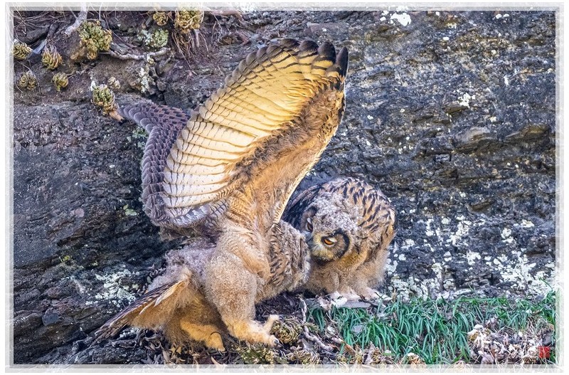 이별의시간은 닥아오고