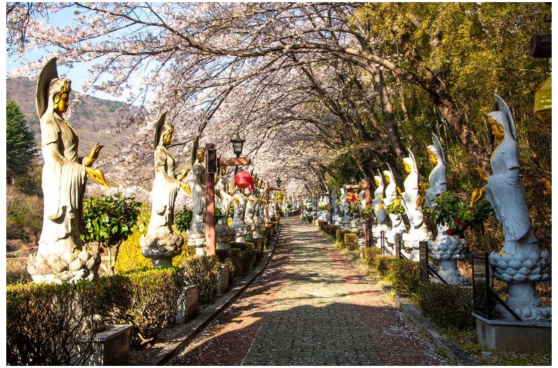 이 땅에 평화를