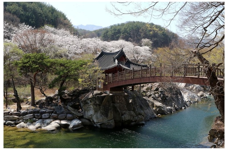 居然亭 의 春景