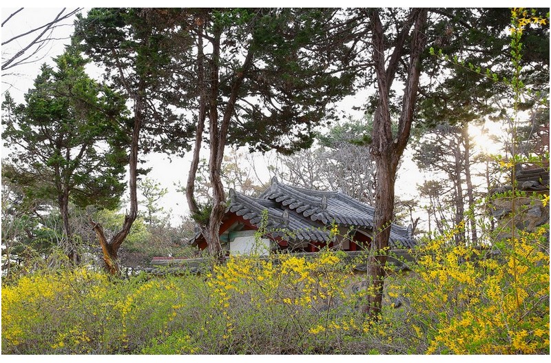 지나는 길에서 만난 봄