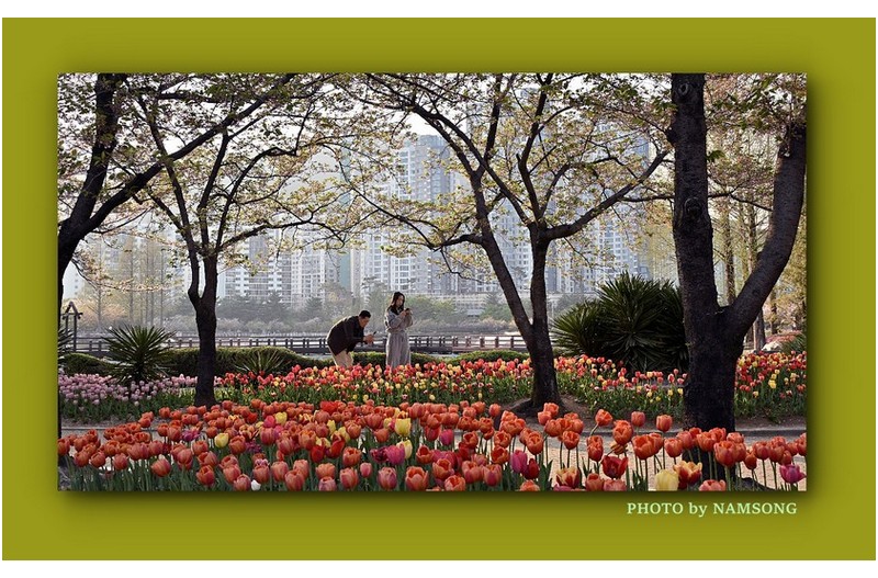 아름다운 봄날의 풍경 ---