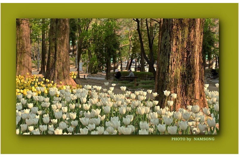 깊어 가는 봄날에 ----