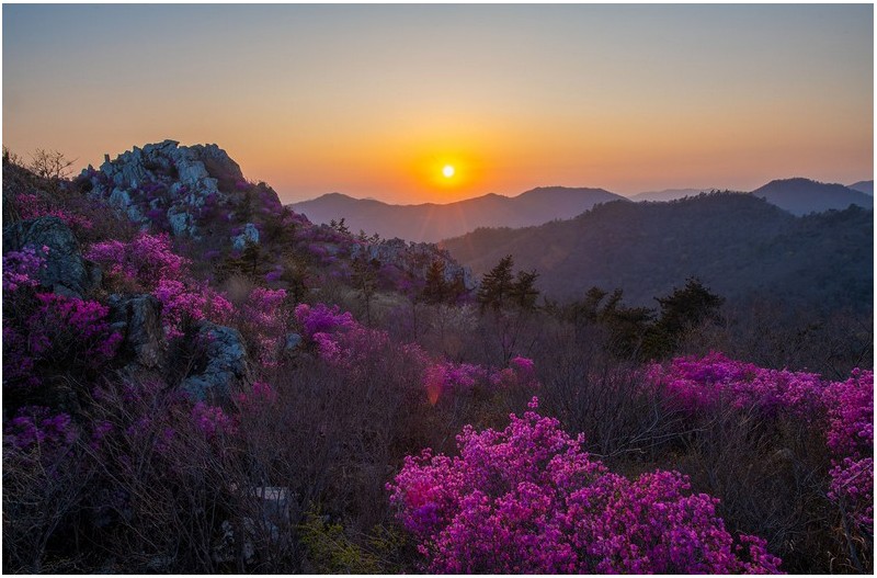 노을 지는 산정