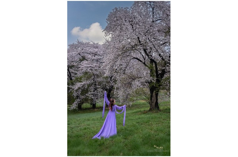 꽃이 피는 날에는