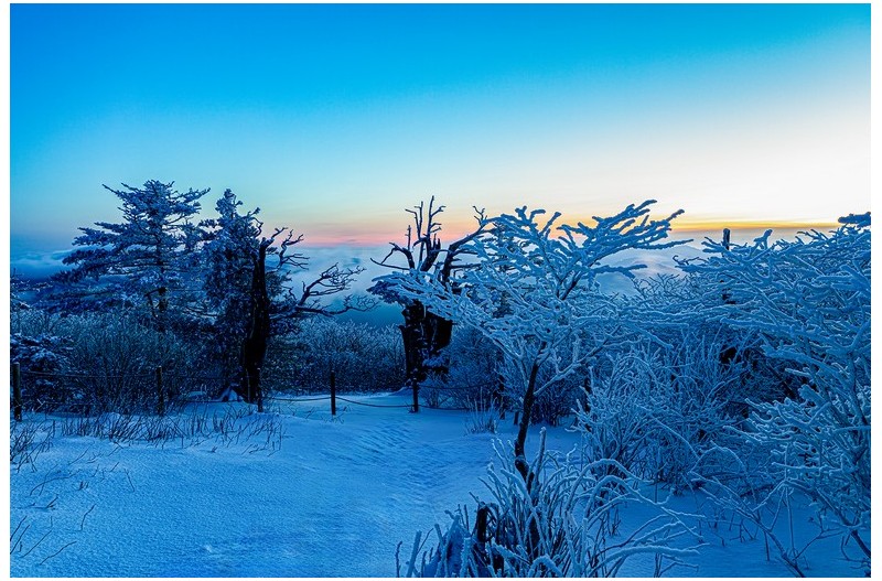 태백 국민포인트