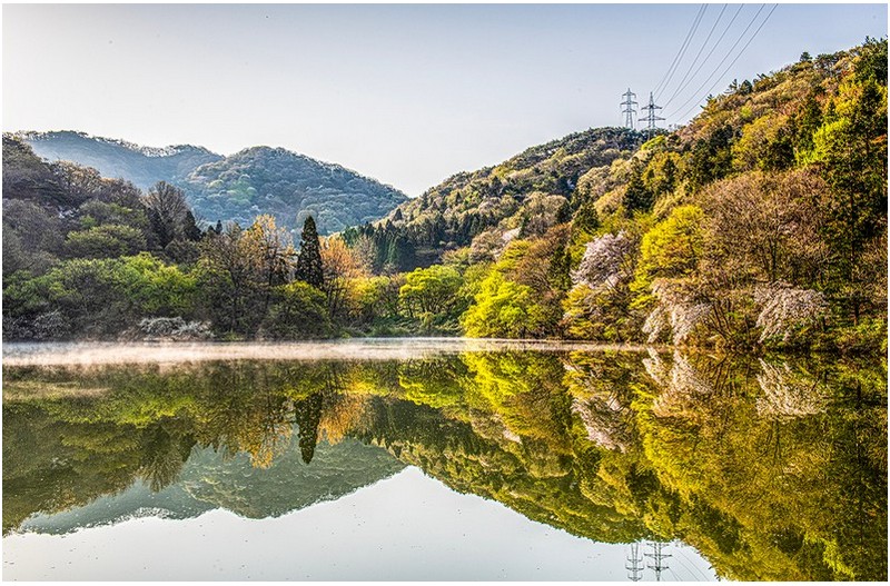 세량지...2025.4.16