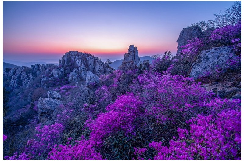 토끼와 장군의 만남