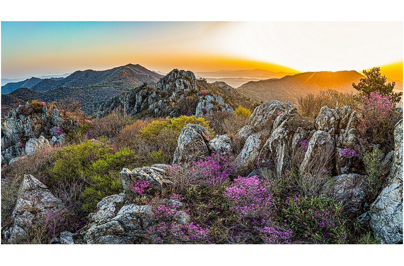 주작에 물들어 오는 신록의 아침