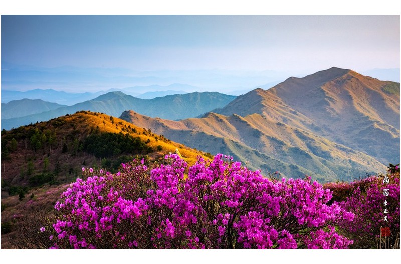 산하의밝아오는 아침 빛