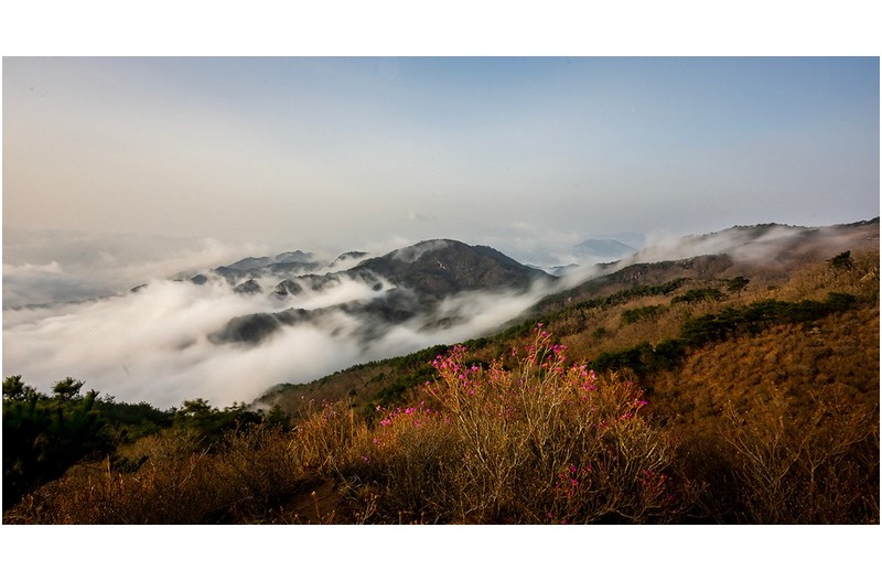 황매산 아침산책