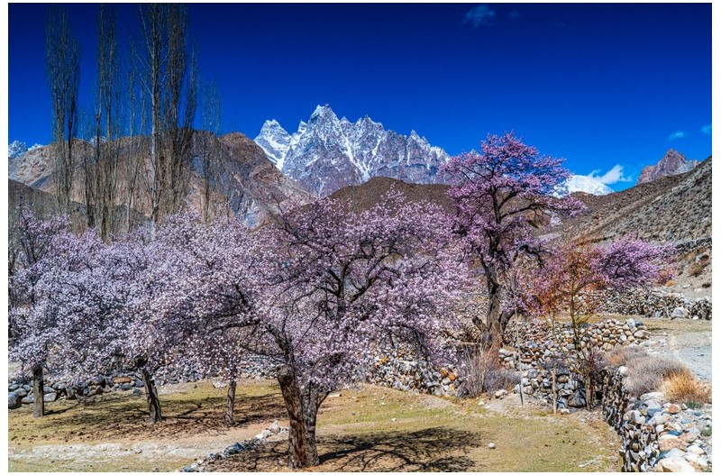 희말라야 산자락에