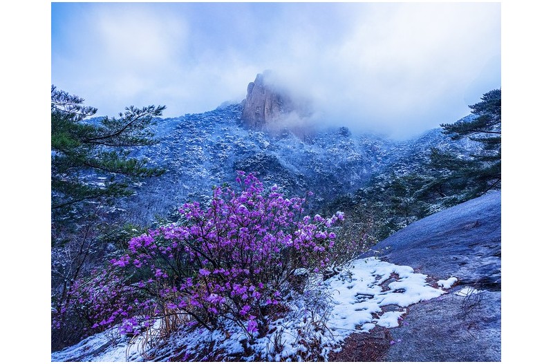 도봉산 두계절의 공존