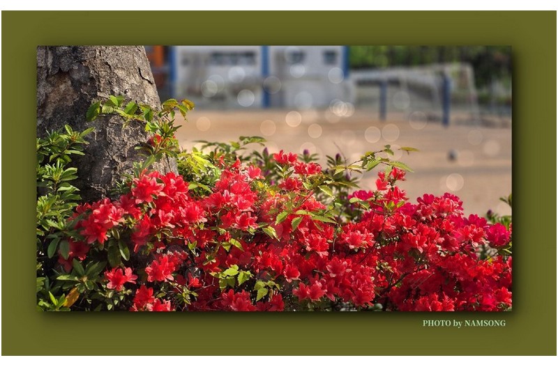 춘색 (春色) -------