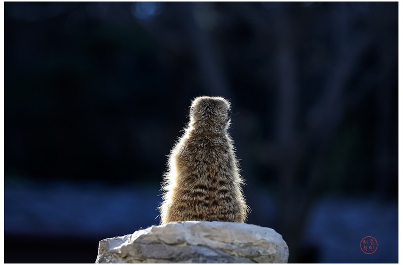 망루에 홀로 앉아