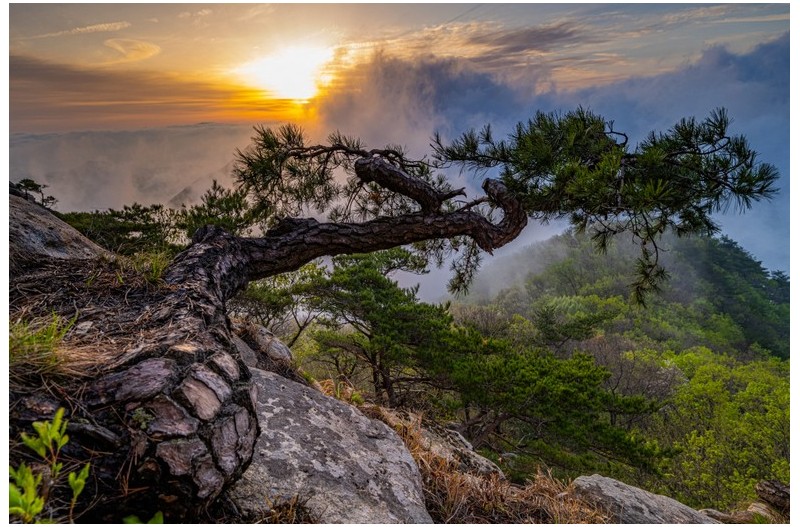 지 엉덩이  어때유?