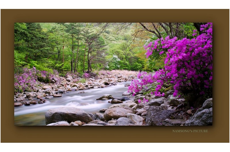 달궁 계곡의 봄 ---