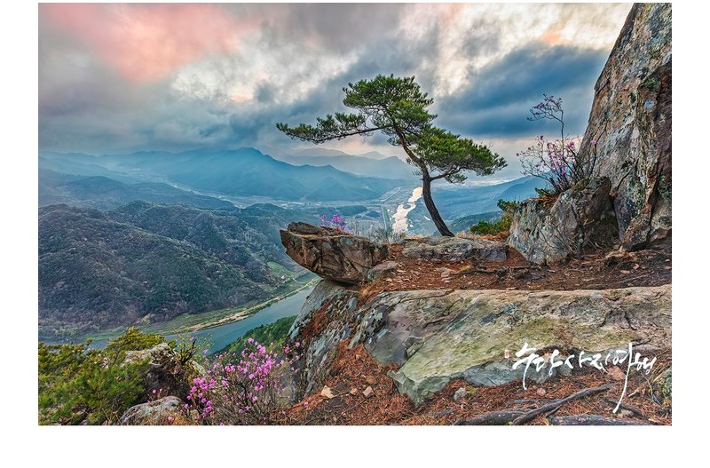 봄을 그리는 수채화