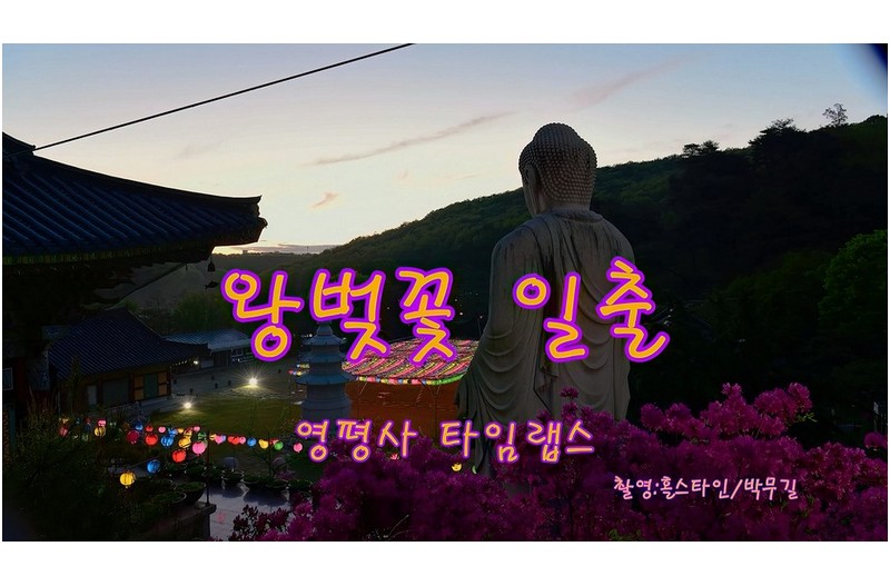 왕벚꽃일출타임랩스